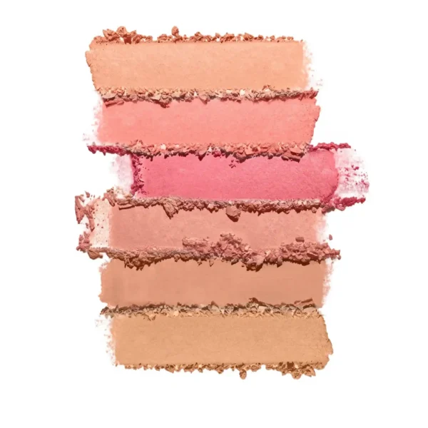 رنگبندی پالت رژگونه Future Makeup FU4101
